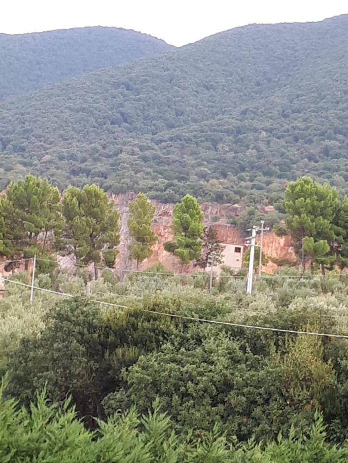 B&B Porta Del Gargano San Marco in Lamis Eksteriør billede